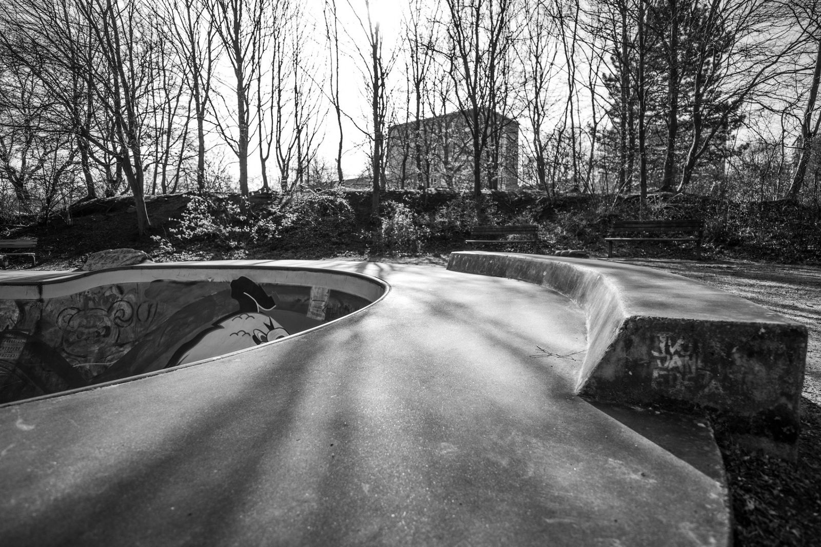 Grannybowl Fruchtallee skatepark